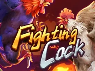 Fighting Cock